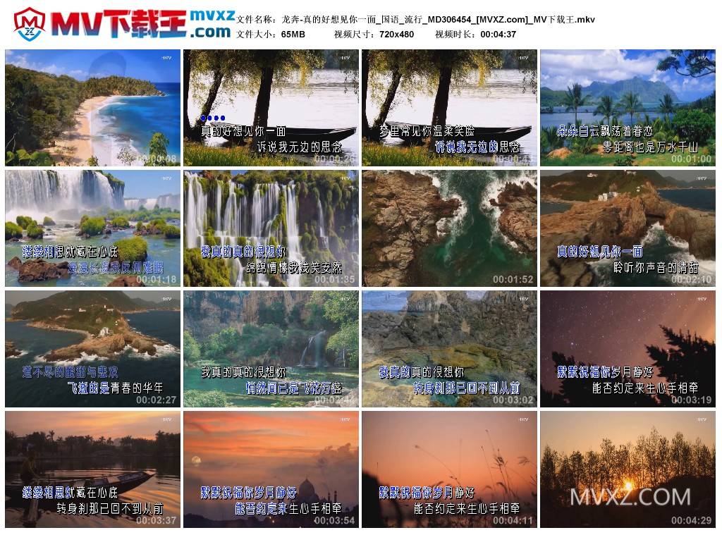 龙奔-真的好想见你一面_国语_流行_MD306454